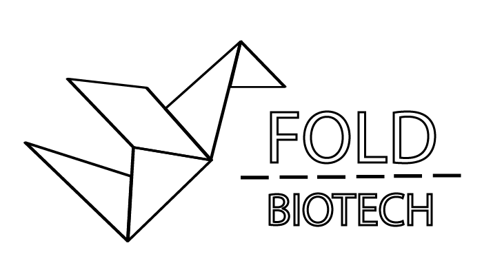 rapid protein synthesis